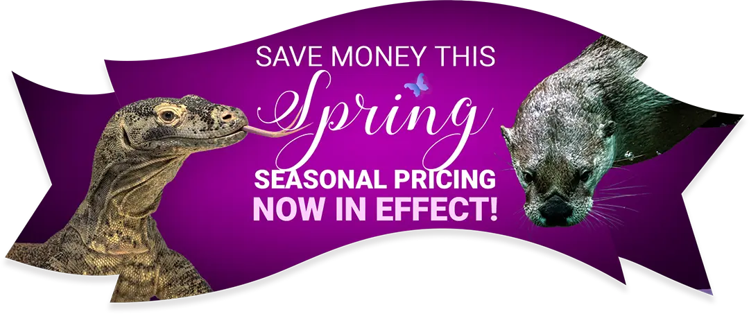 Save Money This Spring - Seasonal Pricing Now in Effect!