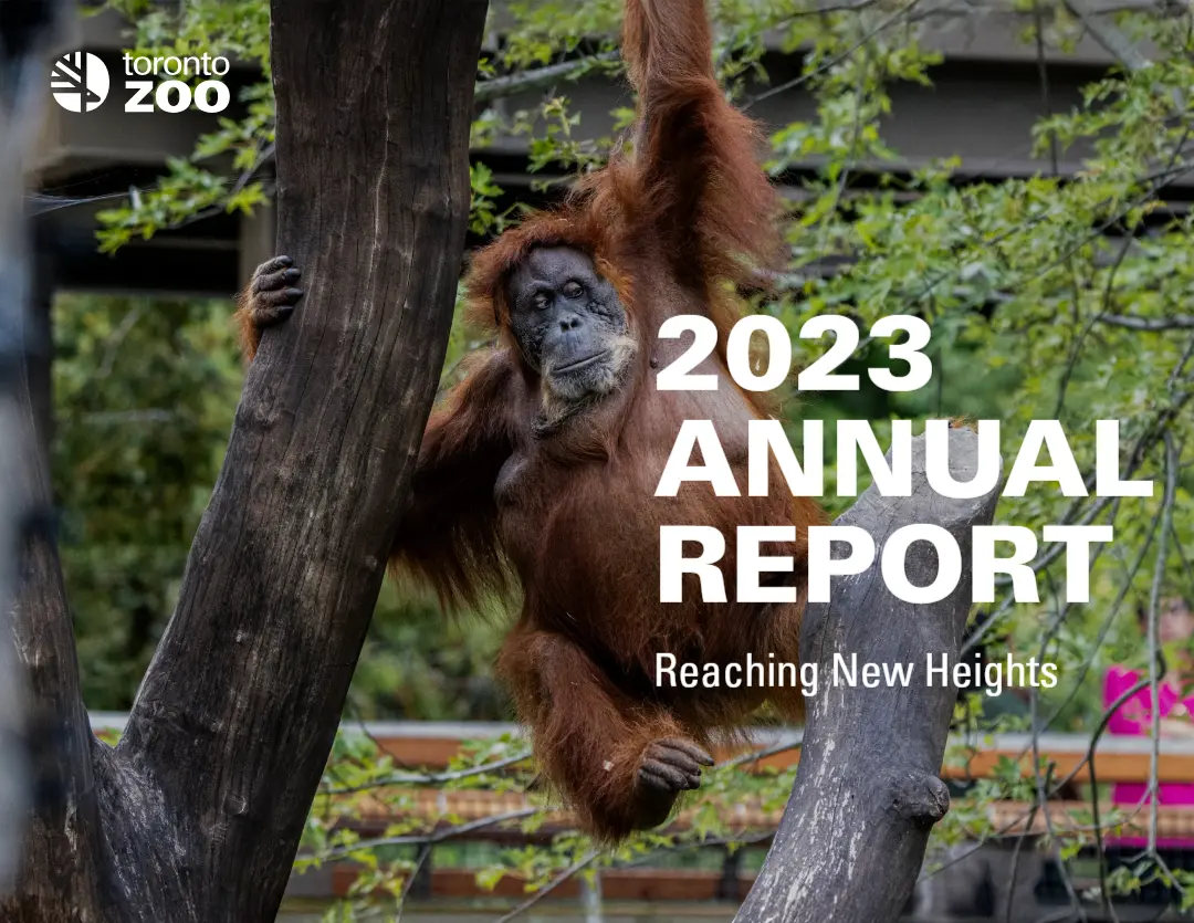 Cover of the Strategic Plan document