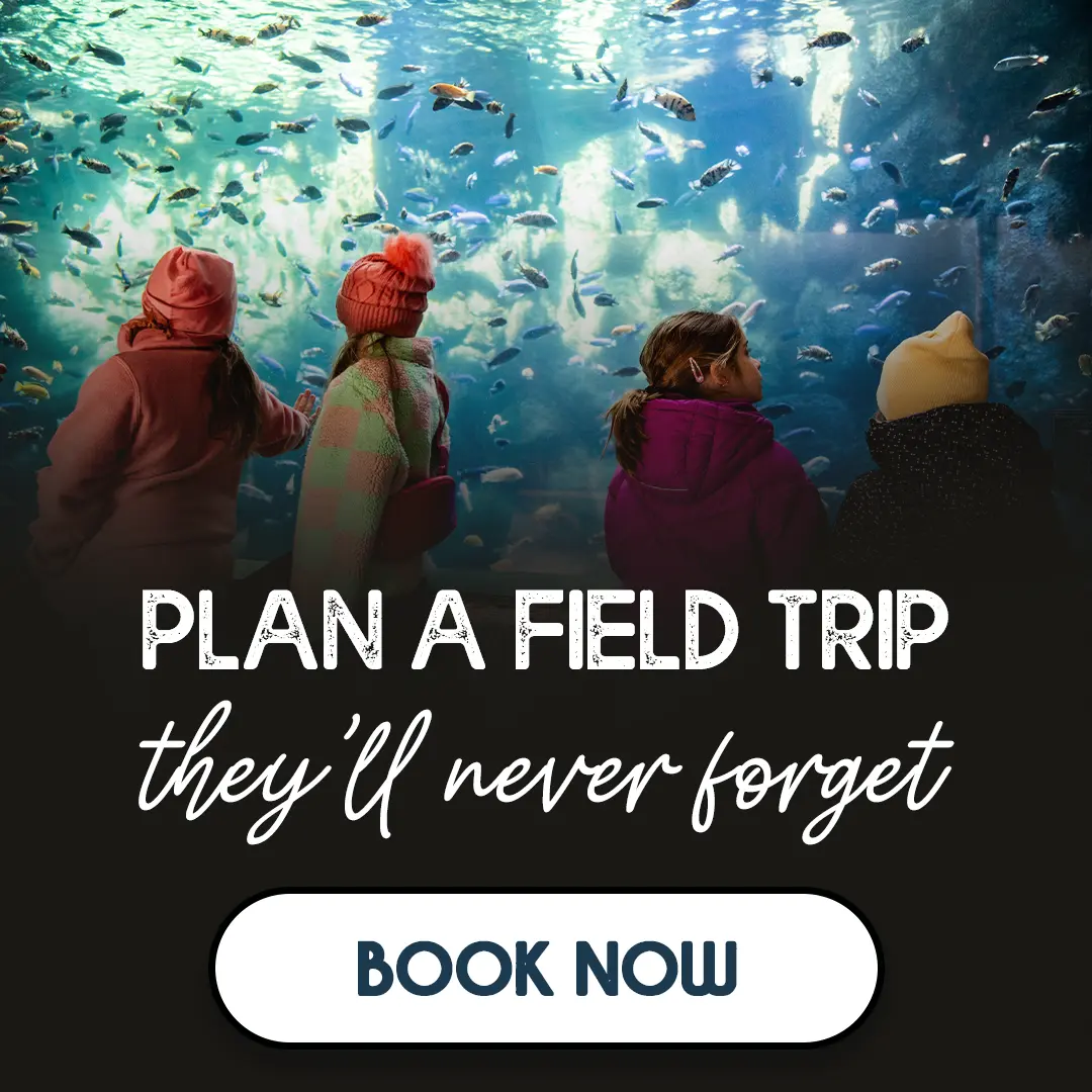 Plan a Field Trip They'll Never Forget - Book Now!