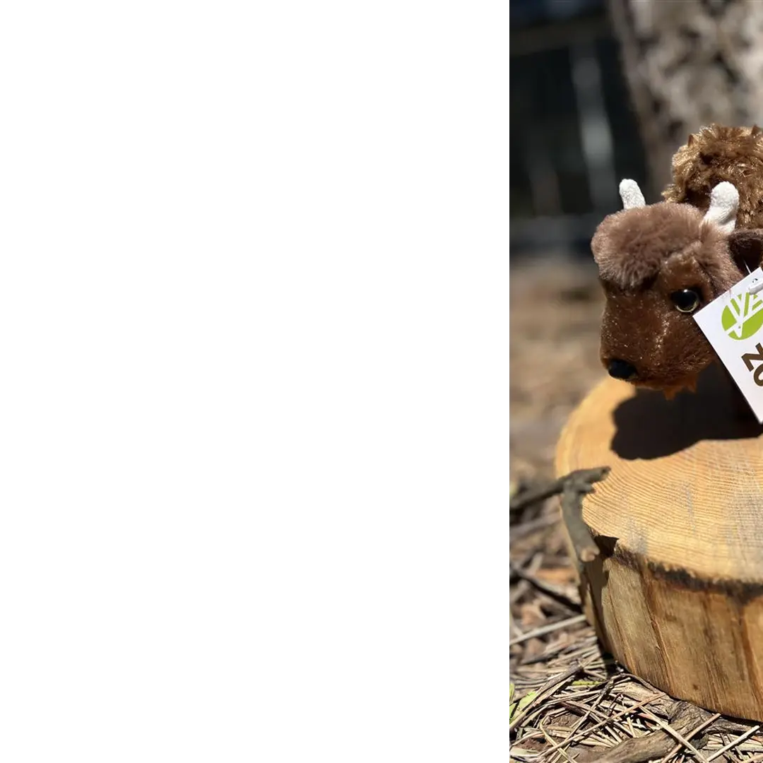 Super Cute Bullalo plush